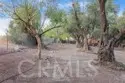 42761 Juniper thumbnail 61