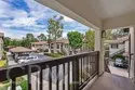 2960 Champion Way #1008 thumbnail 5