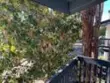 5003 Westpark Drive #203 thumbnail 8