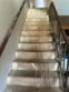 25584 Sharp Drive #F thumbnail 9