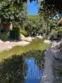 142 Orange Blossom thumbnail 12