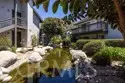 306 Orange Blossom thumbnail 14