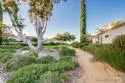 12566 Calle Tamega #108 thumbnail 50