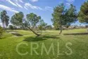 31520 Champions Circle thumbnail 59