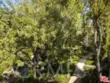 21901 Burbank #197 thumbnail 40
