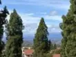 16238 Avenida Venusto #E thumbnail 13