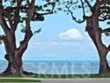 1724 E 1st Street #9 thumbnail 39