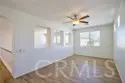 45743 Magnolia thumbnail 22
