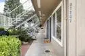 27707 Mountain Meadows Road #49 thumbnail 24
