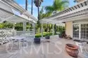 30767 Calle Pina Colada thumbnail 60