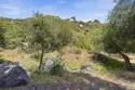 18380 Avenida Caleta thumbnail 46