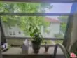 3622 Kalsman Drive #258 (aka 4 thumbnail 22