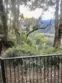 2612 Avenida Del Vista #203 thumbnail 21