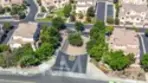 44940 Honey Locust thumbnail 2