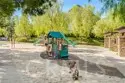91 Sienna thumbnail 38