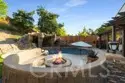 27569 Bottle Brush thumbnail 46