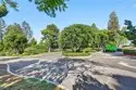 1414 Brett #328 thumbnail 5