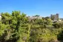 2150 Camino De La Reina #4204 thumbnail 35