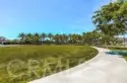 32 Savannah thumbnail 24