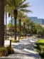 4291 Uptown Newport Drive #3 thumbnail 32