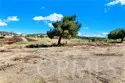 39145 Calle Cordova thumbnail 19