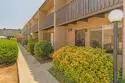 272 Roanoke Road thumbnail 1