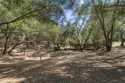 45455 Lorenz Lane thumbnail 55