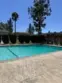 831 Las Lomas Drive thumbnail 8