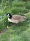 7050 Shoup #221 thumbnail 25