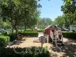 65 Figtree thumbnail 46