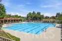 28939 Davenport Lane thumbnail 59
