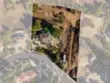 30810 Avenida Del Reposo thumbnail 66