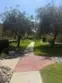 2980 Alta View Drive #204 thumbnail 17