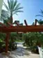2003 Costa Del Mar Road #692 thumbnail 22