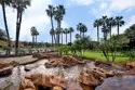 28825 Paseo Campana thumbnail 25