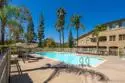 3321 Dehesa Road #95 thumbnail 46