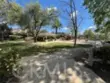 26775 Chamomile thumbnail 57