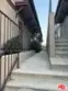 720 Waterloo Street #4 thumbnail 6