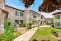 2425 Cranston Drive #10 thumbnail 3