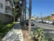 3565 Linden Avenue thumbnail 4