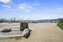 1021 Scott Street #103 thumbnail 28