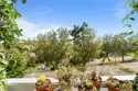 25556 Paseo La Vista thumbnail 13