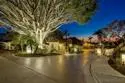 1465 Caminito Solidago thumbnail 40