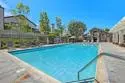 24455 Sutton Lane thumbnail 32