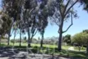 36 Woodleaf thumbnail 34