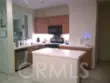 27959 Cactus #B thumbnail 10