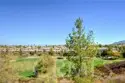 45316 Saint Tisbury thumbnail 58