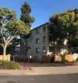 2037 Burton Street #43 thumbnail 12