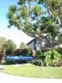 8566 Sierra #912-D thumbnail 43