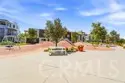 1184 Epic thumbnail 51